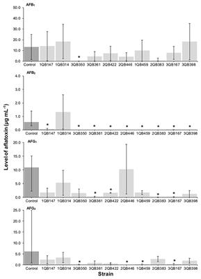 Effect of Lactic Acid Bacteria Strains on the Growth and Aflatoxin Production Potential of Aspergillus parasiticus, and Their Ability to Bind Aflatoxin B1, Ochratoxin A, and Zearalenone in vitro